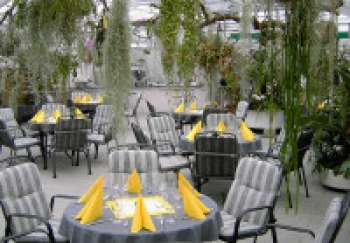 Eventraum mit Orchideen in Sirnach
