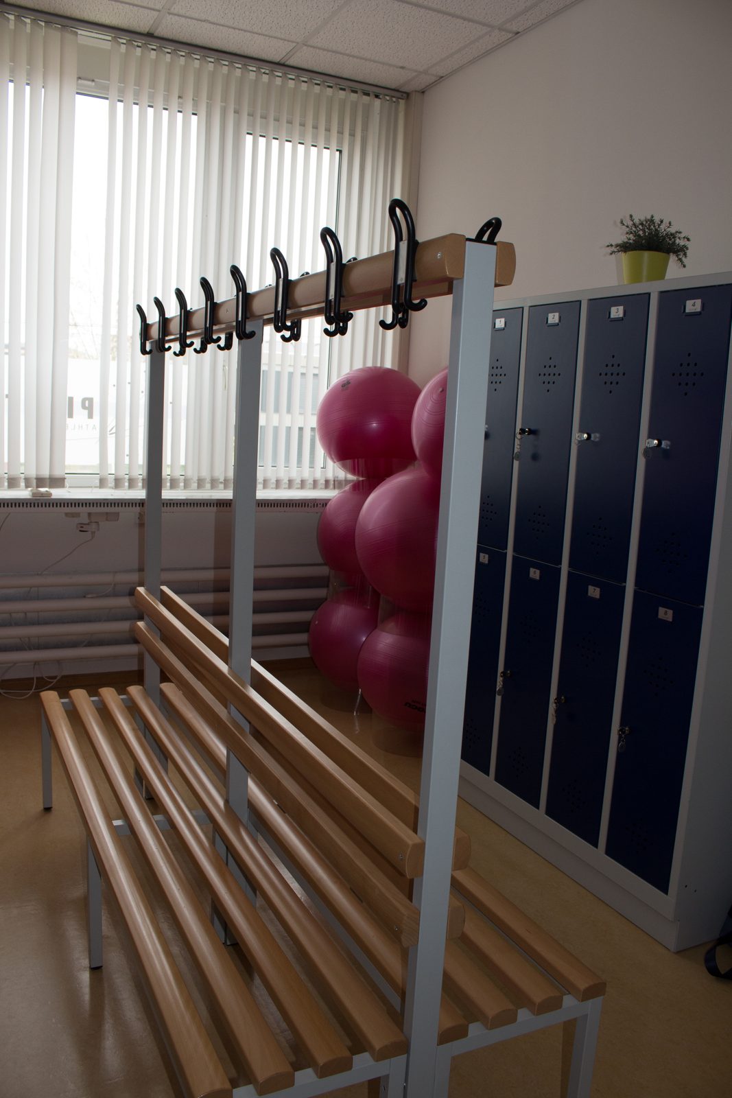 Studio Pilates Athletica- Lichtdurchfluteter Trainingsraum, weiteres Bild