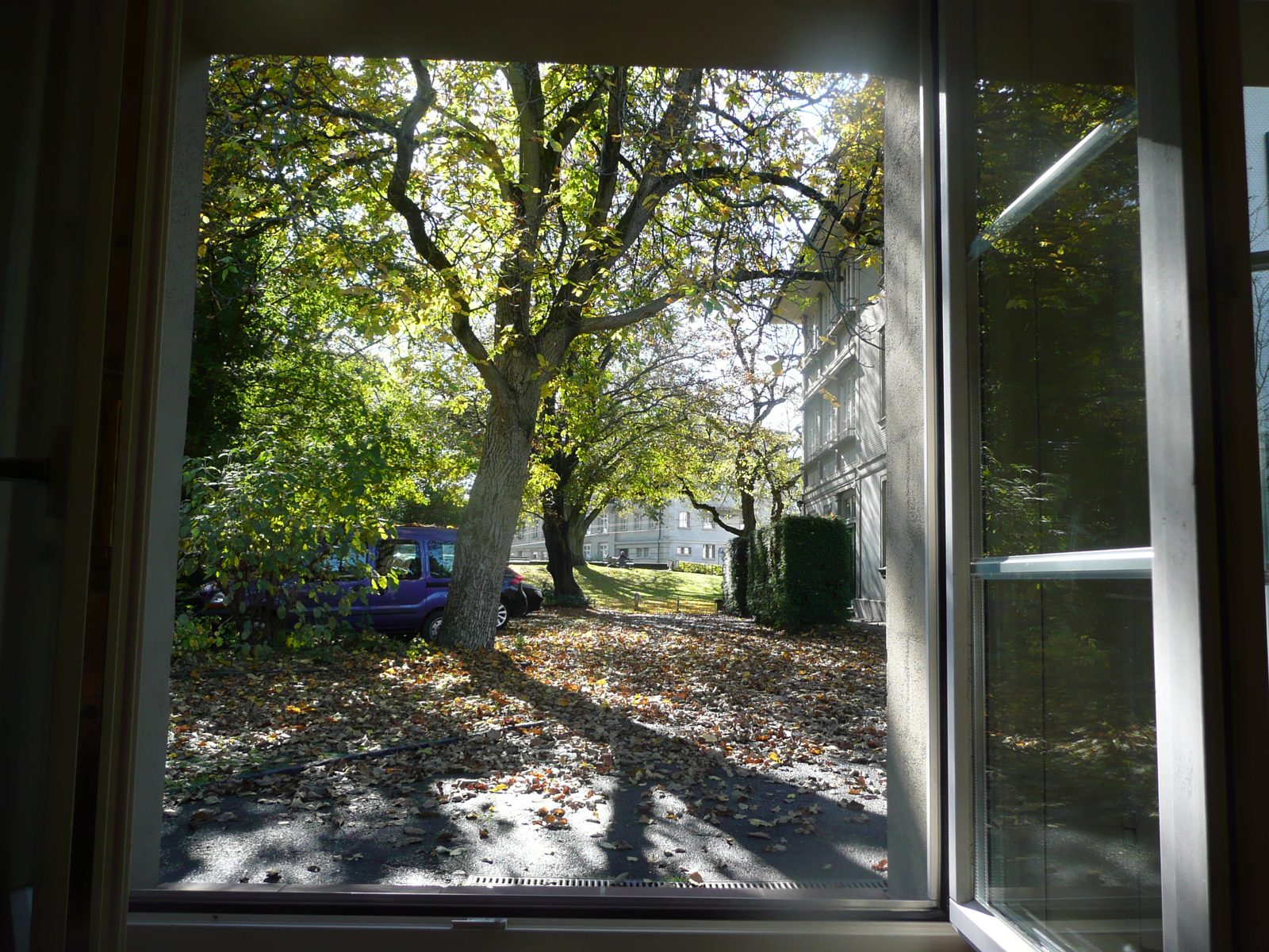 Haupt Atelier 14B, weiteres Bild